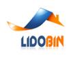 بهینه سازی سایت لیدوبین